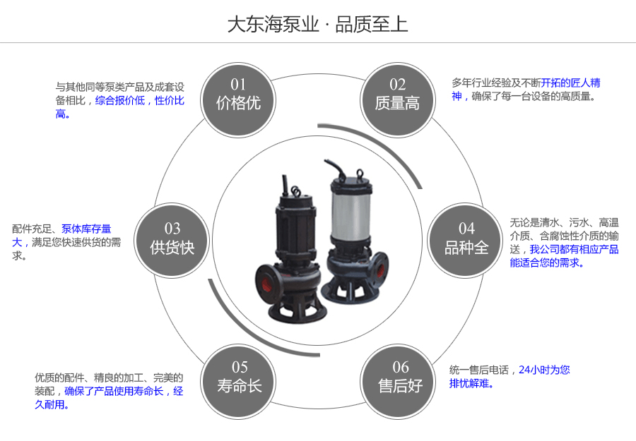 大東海泵業(yè)WQ型排污泵質量保證圖