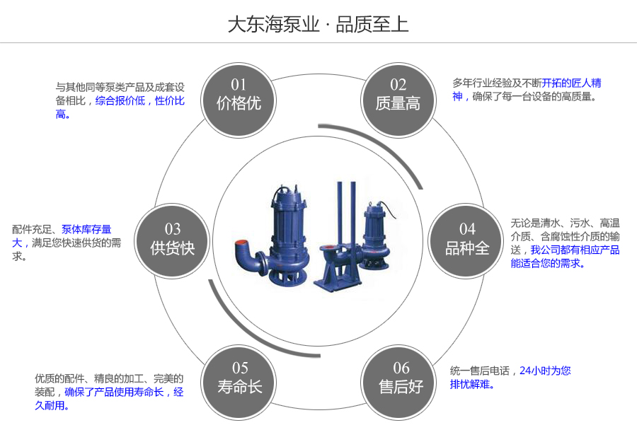 大東海泵業WQ型工程污水泵質量保證圖